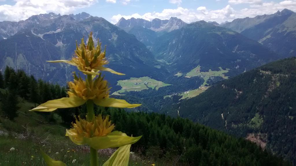 Gasthof Zum Loewen Sankt Jakob im Lesachtal Exteriör bild