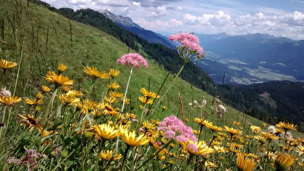 Gasthof Zum Loewen Sankt Jakob im Lesachtal Exteriör bild